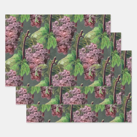  lichte Paarse druiven en wijnstokken op groen Inpakpapier Vel (Set)