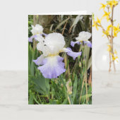 Lichte paarse Iris Bloem Kaart zonder tekst (Gele Bloem)