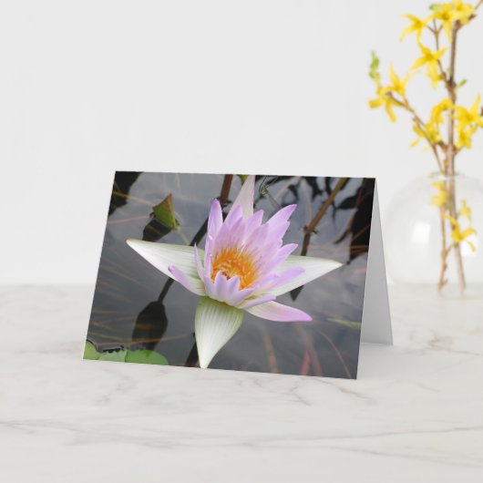 Lichte Paarse Kaart waterLily (Gele Bloem)