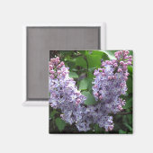 Lichte paarse lilacs Foto Magneet (Voorkant / Achterkant)