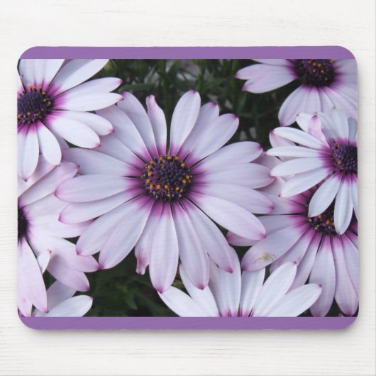 Lichte Paarse petalen met Paarse achtergrond Muismat (Voorkant)