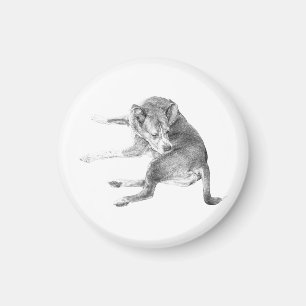 Lichte Puppy Glimlach Magneet