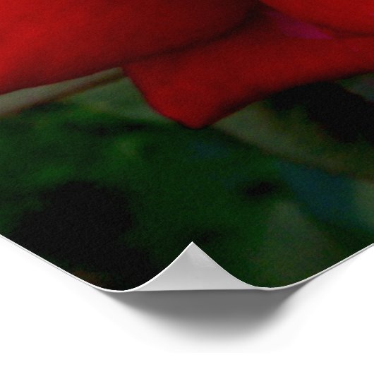 Lichte rode roze poster (Hoek)