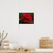 Lichte rode roze poster (Keuken)