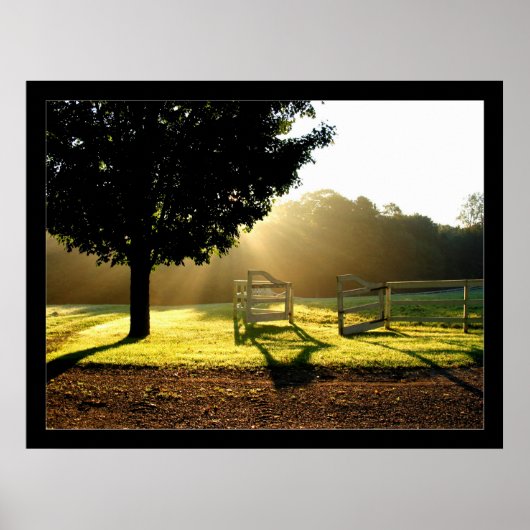 Lichte stralen 2 poster (Voorkant)