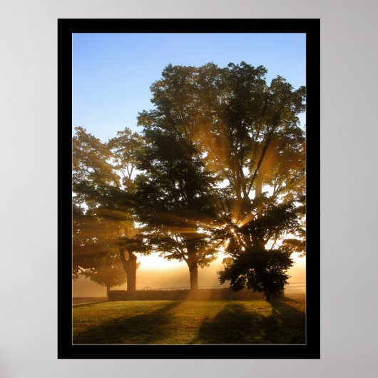 Lichte stralen 4 poster (Voorkant)