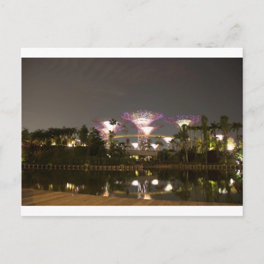 Lichte superbomen in tuinen door de baai briefkaart (Voorkant)