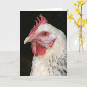 Lichte Sussex kip Kaart (Gele Bloem)