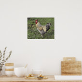 lichte sussex-kruis poster (Keuken)