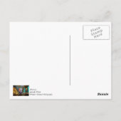 Lichten van Fremont Street Briefkaart (Achterkant)