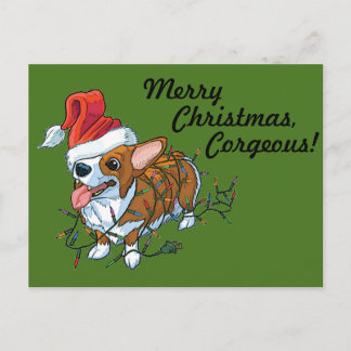 Lichten van Kerstmis van Kerstmis van het Puppy Feestdagenkaart