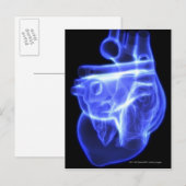 Lichtend uitzicht van het menselijk hart briefkaart (Voorkant / Achterkant)