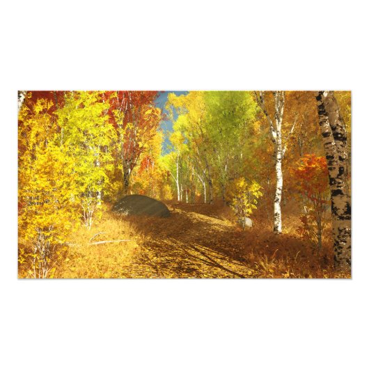 Lichtfoto's afdrukken foto afdruk (Voorkant)