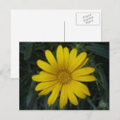 lichtgeel briefkaart (Voorkant / Achterkant)