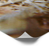 Lichtgekleurde cornslang poster (Hoek)