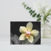 Lichtgele orchidee briefkaart (Staand voorkant)