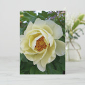 Lichtgele pony-ventilator (Staand voorkant)