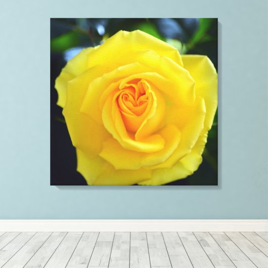 Lichtgele rozenbloemen fotografie. canvas afdruk (Insitu (Houten vloer))