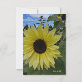 Lichtgele Zonnebloem & Blauwe luchten Notitiekaartje