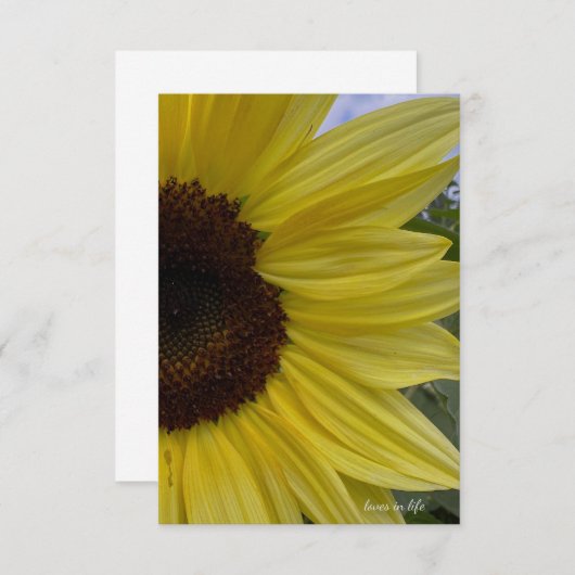 Lichtgele zonnebloem notitiekaartje (Voorkant / Achterkant)