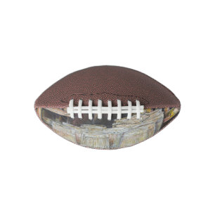 Lichtgevend Equivalent van Hartstochtelijke Emotie American Football