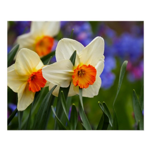 Lichtgevende Bloemen Perfect Poster (Voorkant)