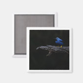 Lichtgevende honingraatmagneet magneet (Voorkant / Achterkant)