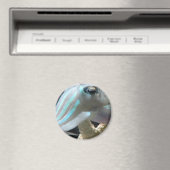 Lichtgevende inktvissen magneet (Insitu (Vaatwasser))