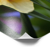 Lichtgevende narcissen foto afdruk (Hoek)