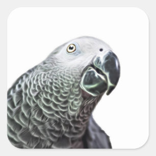 Lichtgevende Parrot Art African Grey Bird Stickers