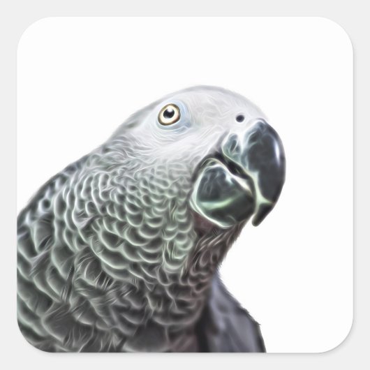 Lichtgevende Parrot Art African Grey Bird Stickers (Voorkant)