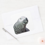 Lichtgevende Parrot Art African Grey Bird Stickers (Envelop)