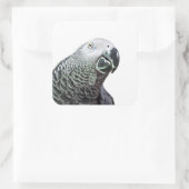 Lichtgevende Parrot Art African Grey Bird Stickers (Tas)