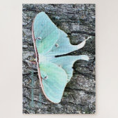 Lichtgevende smaragdgroene vleugels - Quiet Ember Legpuzzel (Verticaal)