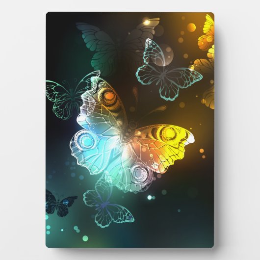 Lichtgevende vlinder en nachtvlinders fotoplaat (voorkant)