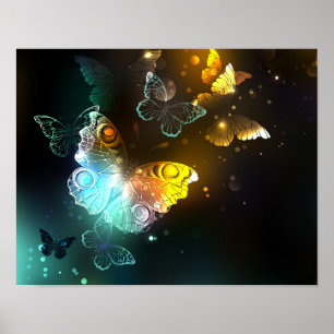 Lichtgevende vlinder en nachtvlinders poster