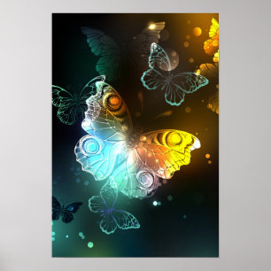 Lichtgevende vlinder en nachtvlinders poster
