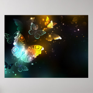 Lichtgevende vlinder en nachtvlinders poster