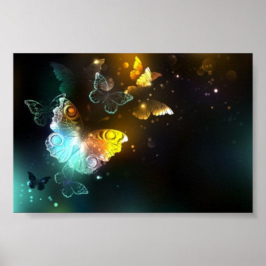 Lichtgevende vlinder en nachtvlinders poster (Voorkant)