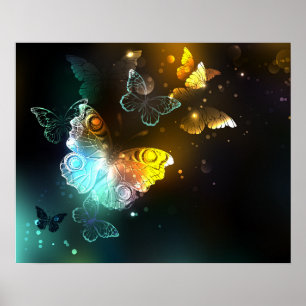 Lichtgevende vlinder en nachtvlinders poster