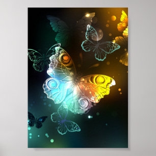 Lichtgevende vlinder en nachtvlinders poster