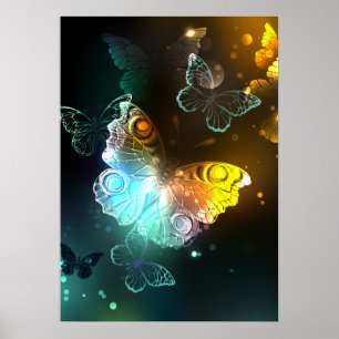 Lichtgevende vlinder en nachtvlinders poster