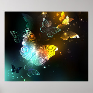Lichtgevende vlinder en nachtvlinders poster