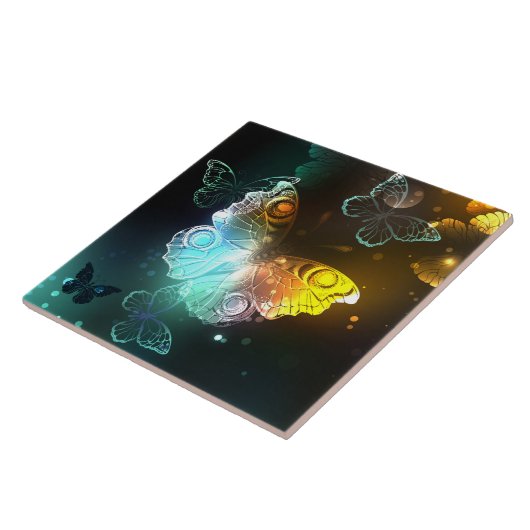 Lichtgevende vlinder en nachtvlinders tegeltje (Zijkant)