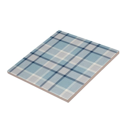 Lichtgrijs-blauw gestructureerd geruit tegeltje (Zijkant)