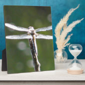 Lichtgrijze limonade fotoplaat (Zijkant)