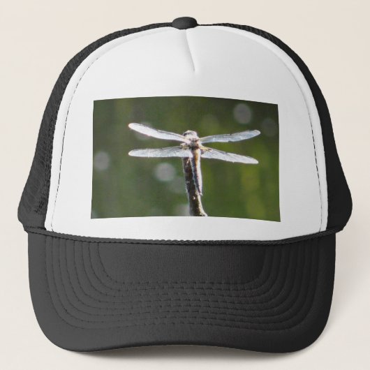 Lichtgrijze limonade trucker pet (Voorkant)