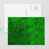 Lichtgroene aardewerk briefkaart (Voorkant / Achterkant)