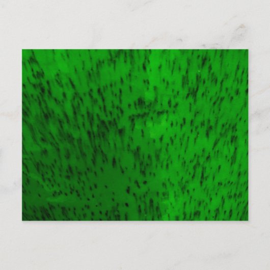 Lichtgroene aardewerk briefkaart (Voorkant)