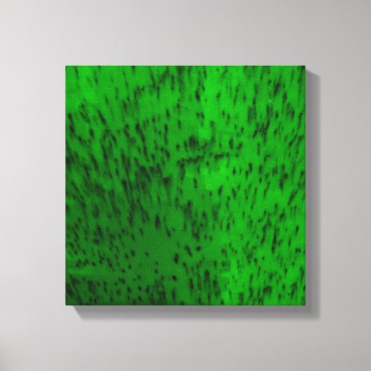 Lichtgroene aardewerk canvas afdruk (Voorkant)